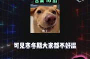 娱乐八卦听吃瓜